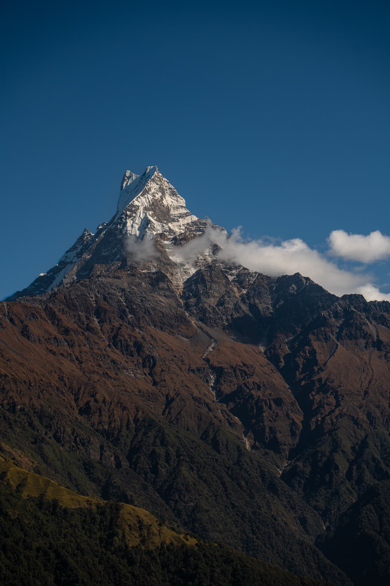 Machapuchre, Sacred Mountain