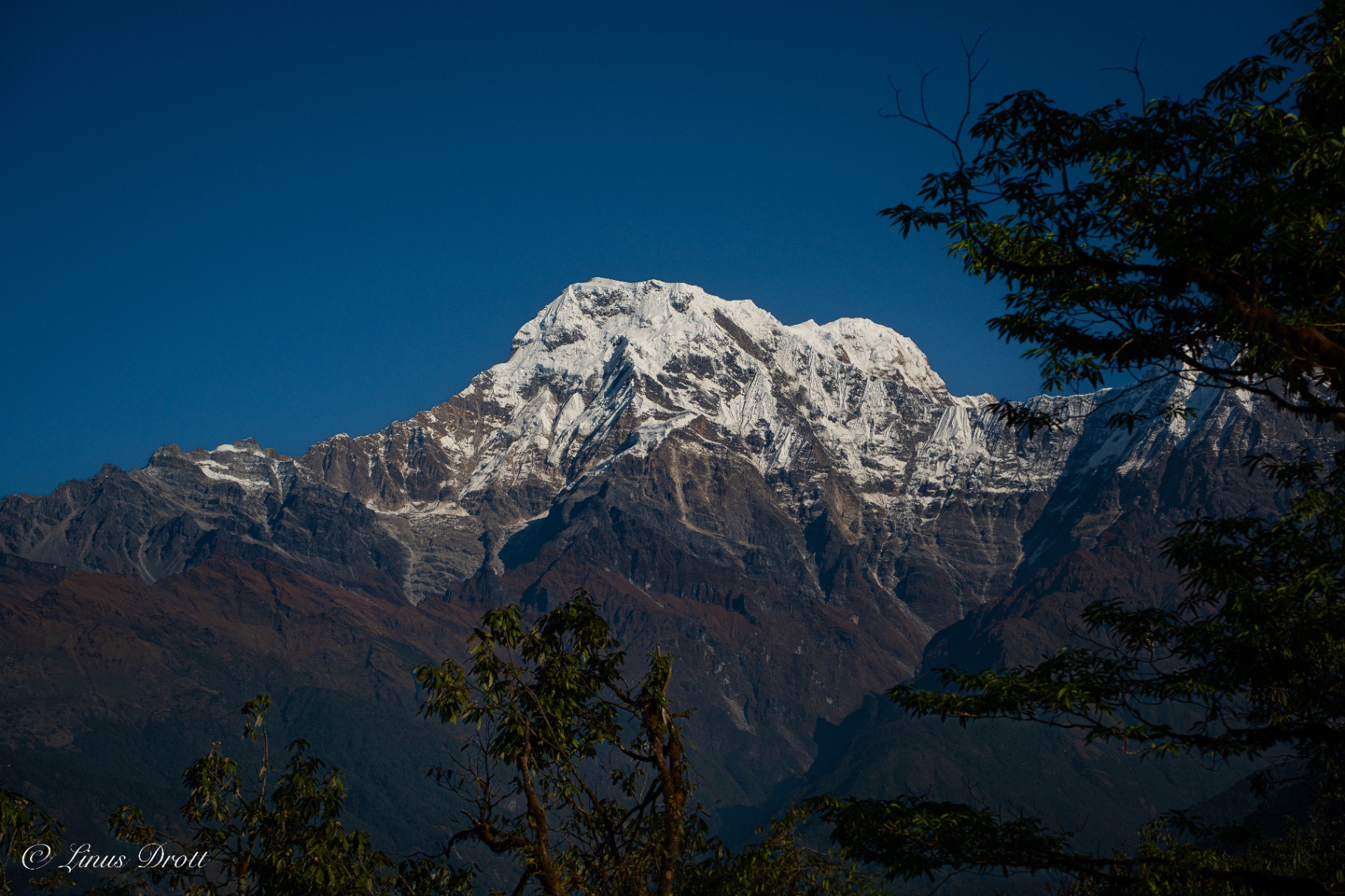 Annapurna South, First Light